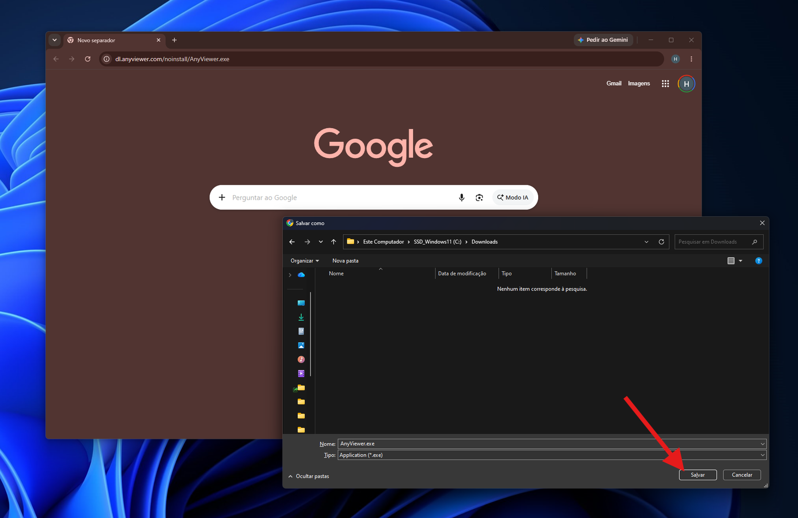 Passo 01: Baixe o AnyViewer
